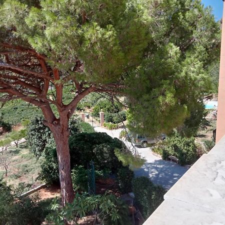 Villa Paladino Solunto Санта-Флавия Экстерьер фото
